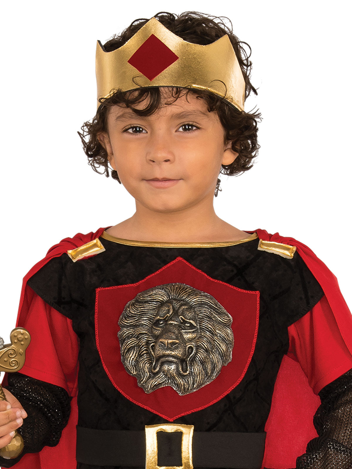 LITTLE KNIGHT COSTUME, CHILD - Back