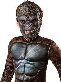 KING KONG CHILD COSTUME, CHILD - Packaging