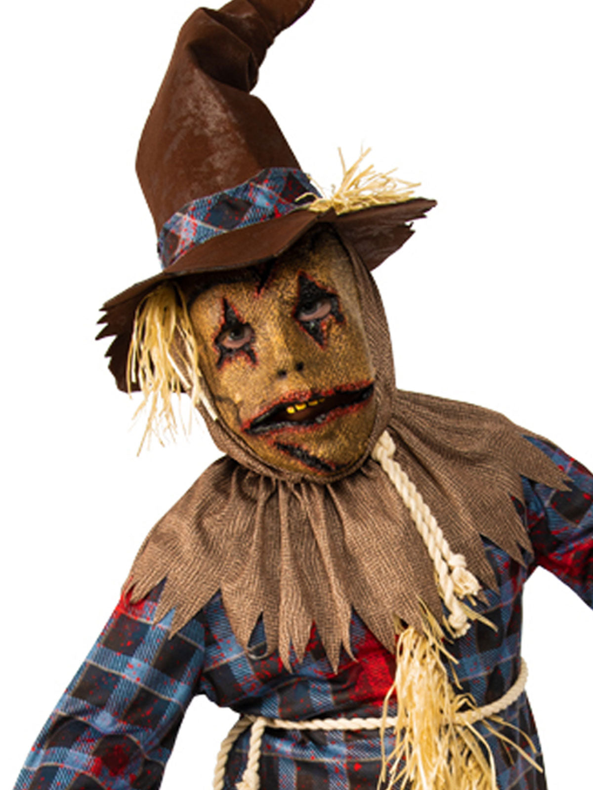 SCARECROW COSTUME, CHILD - Back