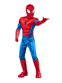 SPIDER-MAN DELUXE COSTUME, CHILD - Packaging
