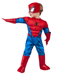 SPIDER-MAN DELUXE COSTUME, CHILD - TODDLER - Packaging