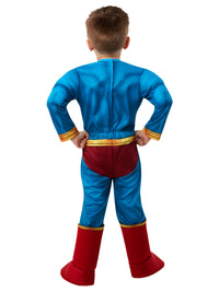 SUPERMAN CLASSIC DC SUPER PETS COSTUME, CHILD - Packaging
