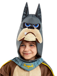 ACE DELUXE DC SUPER PETS COSTUME, CHILD - Back