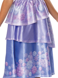 ISABELA DELUXE ENCANTO COSTUME, CHILD - Packaging