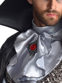 VAMPIRE GREY COLLECTOR'S EDITION, ADULT - Packaging