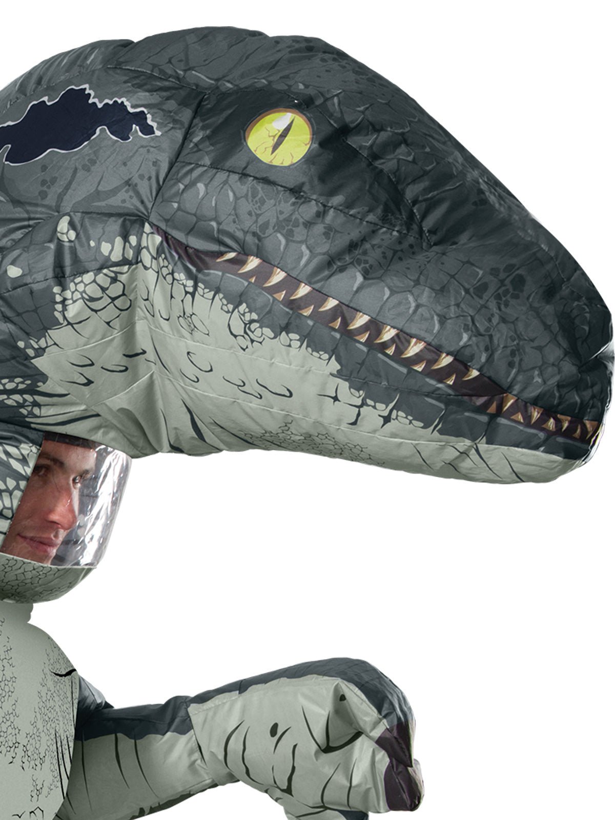 VELOCIRAPTOR BLUE INFLATABLE COSTUME, ADULT - STD - Back