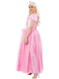 GOOD WITCH FAIRY COSTUME, ADULT - Packaging