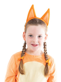 BINGO BLUEY COSTUME, TODDLER - Packaging