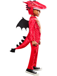 RED DRAGON COSTUME, CHILD - Packaging