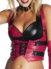 HARLEY QUINN DELUXE COSTUME, ADULT - Back