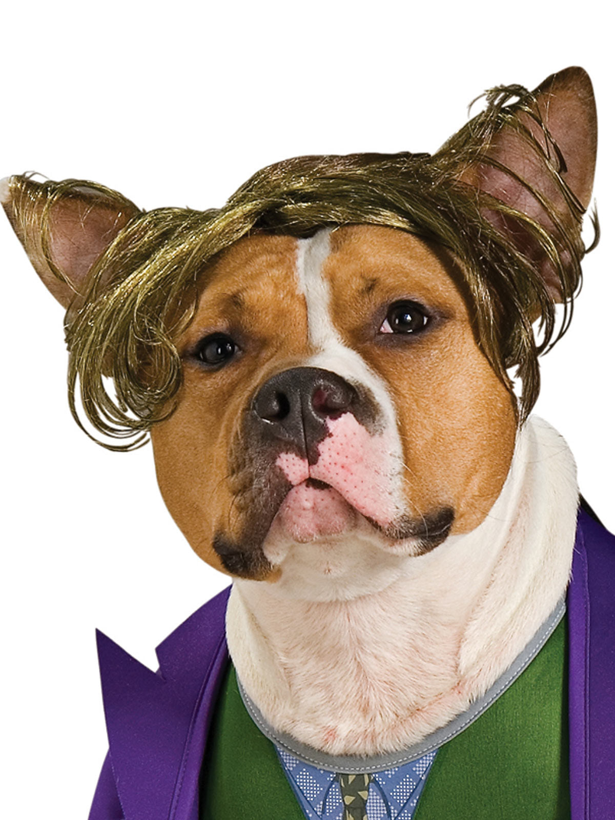 THE JOKER PET COSTUME - Back