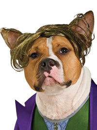 THE JOKER PET COSTUME - Back