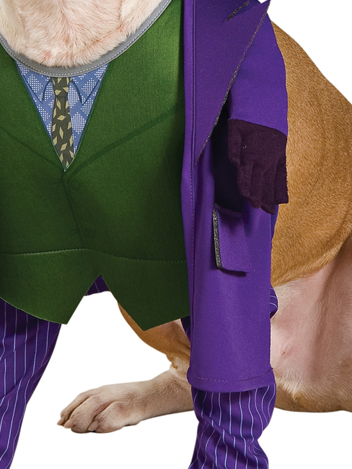 THE JOKER PET COSTUME - Side