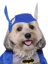 BATMAN BRAVE AND BOLD PET COSTUME - Back