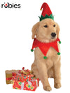 ELF HAT WITH BELL AND COLLAR PET ACCESSORY - Front