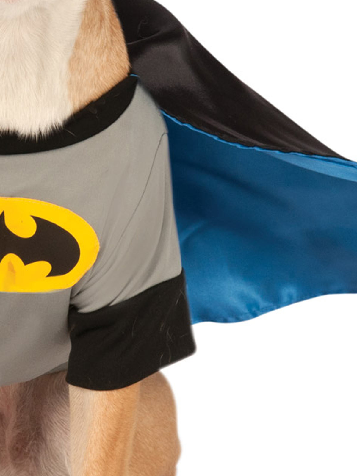 BATMAN DELUXE PET COSTUME - Side