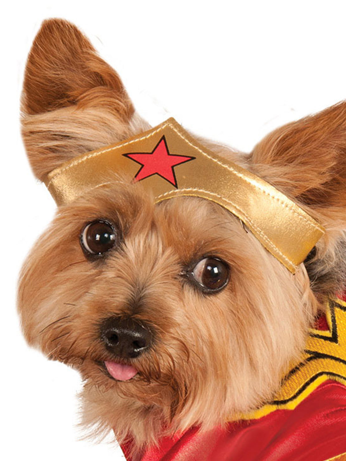 WONDER WOMAN PET COSTUME - Back
