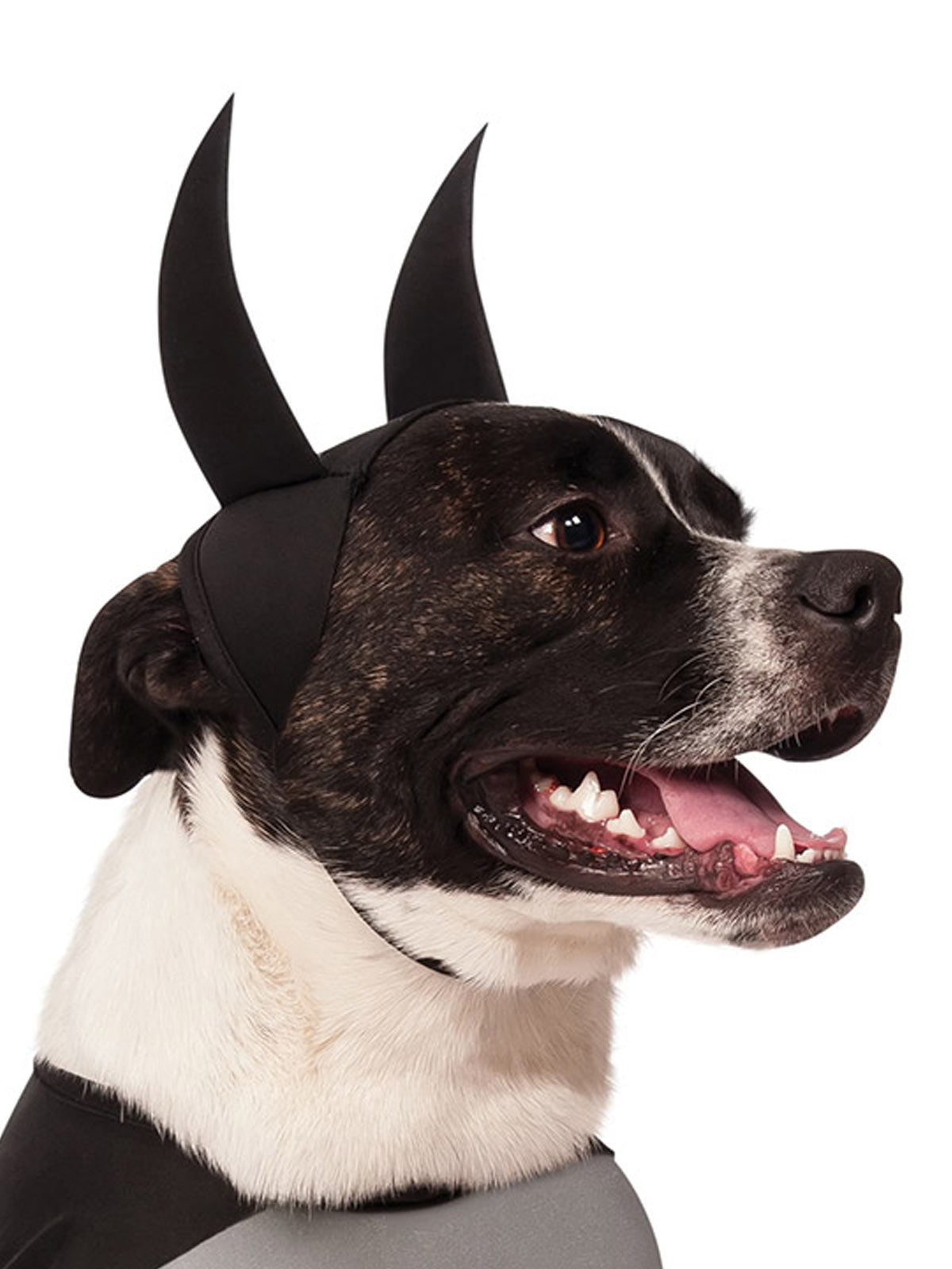 BATMAN CLASSIC PET COSTUME - Back