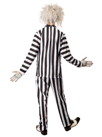 BEETLEJUICE DELUXE COSTUME, ADULT