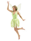 TINKER BELL DELUXE COSTUME, ADULT - Front