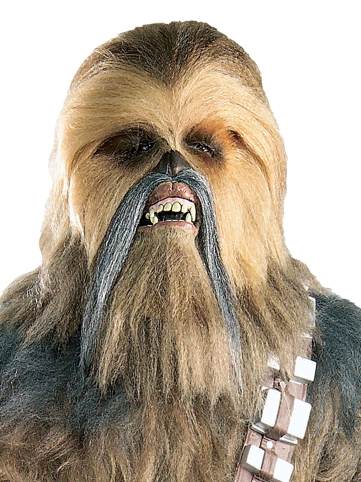 CHEWBACCA COLLECTOR'S EDITION, ADULT - Back