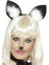 CAT EARS, ADULT - Front