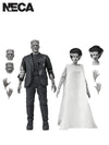 UNIVERSAL MONSTERS X BRIDE OF FRANKENSTEIN 90TH ANNIVERSARY - THE MONSTER &amp; HIS MATE 2PK 7" FIGURES (B&amp;W) - Front