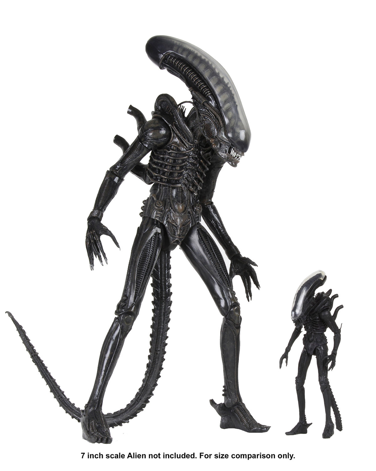 ALIENS 40TH ANNIVERSARY BIG CHAP 1/4 SCALE ACTION FIGURE - Back
