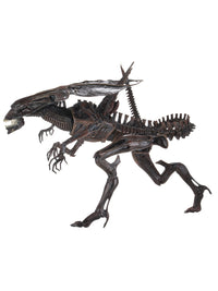 ALIEN RESURRECTION DELUXE QUEEN - ULTRA DELUXE BOXED FIGURE - Side