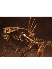 ALIEN RESURRECTION DELUXE QUEEN - ULTRA DELUXE BOXED FIGURE - Packaging
