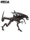 ALIEN RESURRECTION DELUXE QUEEN - ULTRA DELUXE BOXED FIGURE - Front
