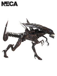 ALIEN RESURRECTION DELUXE QUEEN - ULTRA DELUXE BOXED FIGURE - Front