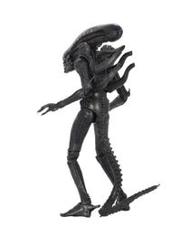 ALIENS 40TH ANNIVERSARY BIG CHAP 7" SCALE ACTION FIGURE - Side