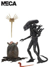 ALIENS 40TH ANNIVERSARY BIG CHAP 7" SCALE ACTION FIGURE - Front