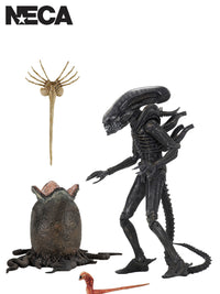 ALIENS 40TH ANNIVERSARY BIG CHAP 7" SCALE ACTION FIGURE - Front