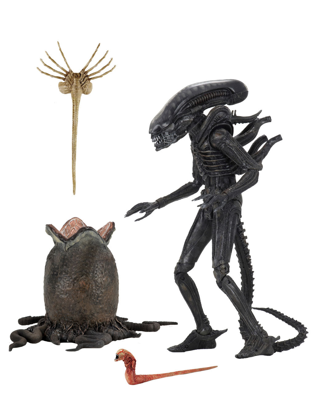 ALIENS 40TH ANNIVERSARY BIG CHAP 7" SCALE ACTION FIGURE - Back