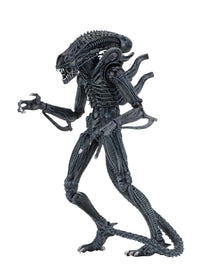 ALIENS ULTIMATE ALIENS WARRIOR (1986) BLUE - 7" SCALE ACTION FIGURE - Back