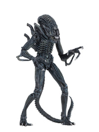 ALIENS ULTIMATE ALIENS WARRIOR (1986) BLUE - 7" SCALE ACTION FIGURE - Side