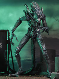 ALIENS ULTIMATE ALIENS WARRIOR (1986) BLUE - 7" SCALE ACTION FIGURE - Packaging