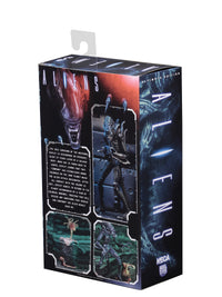 ALIENS ULTIMATE ALIENS WARRIOR (1986) BLUE - 7" SCALE ACTION FIGURE