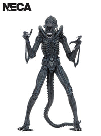 ALIENS ULTIMATE ALIENS WARRIOR (1986) BLUE - 7" SCALE ACTION FIGURE - Front