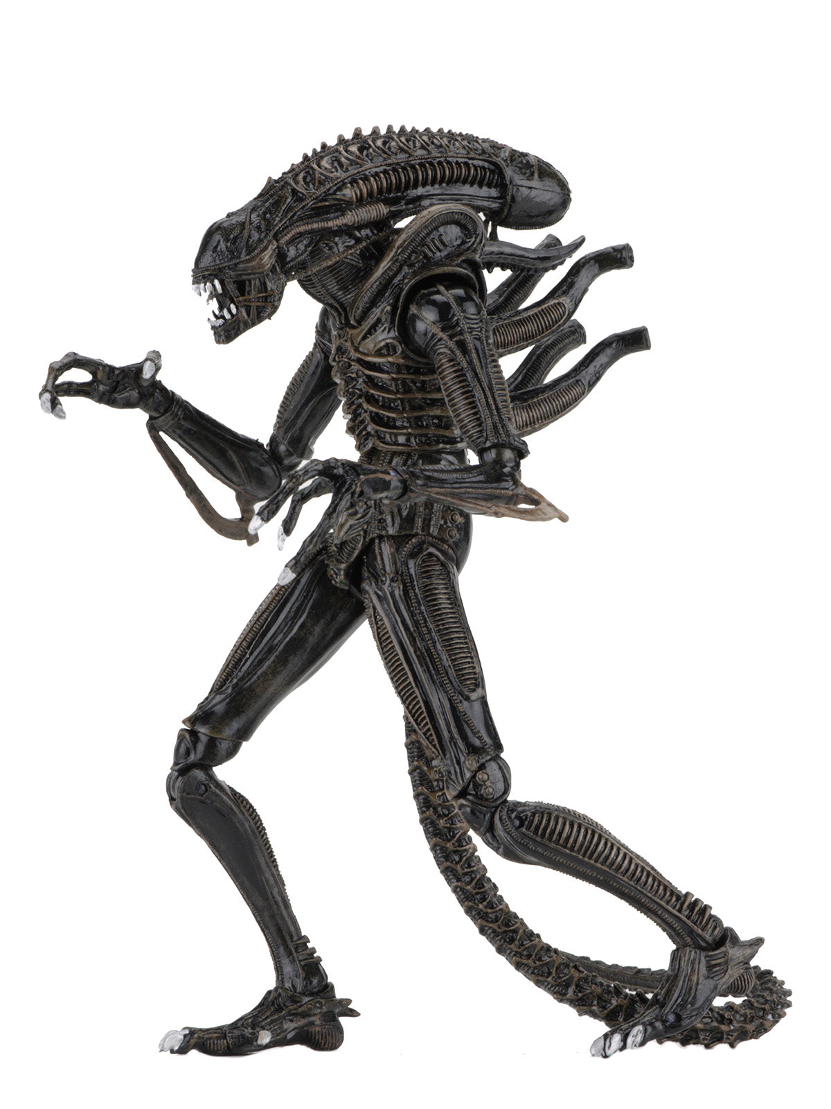 ALIENS ULTIMATE ALIENS WARRIOR (1986) BROWN - 7" SCALE ACTION FIGURE - Back