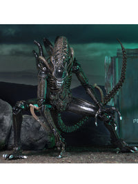 ALIENS ULTIMATE ALIENS WARRIOR (1986) BROWN - 7" SCALE ACTION FIGURE
