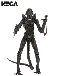 ALIENS ULTIMATE ALIENS WARRIOR (1986) BROWN - 7" SCALE ACTION FIGURE - Front