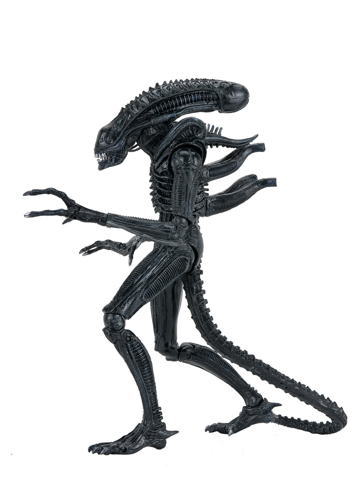 ALIENS ULTIMATE WARRIOR XENOMORPH (BLACK) 40TH ANNIVERSARY - 7" SCALE ACTION FIGURE - Back