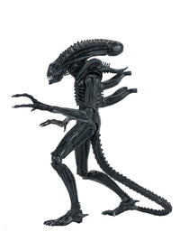 ALIENS ULTIMATE WARRIOR XENOMORPH (BLACK) 40TH ANNIVERSARY - 7" SCALE ACTION FIGURE - Back