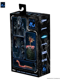 ALIENS ULTIMATE WARRIOR XENOMORPH (BLACK) 40TH ANNIVERSARY - 7" SCALE ACTION FIGURE