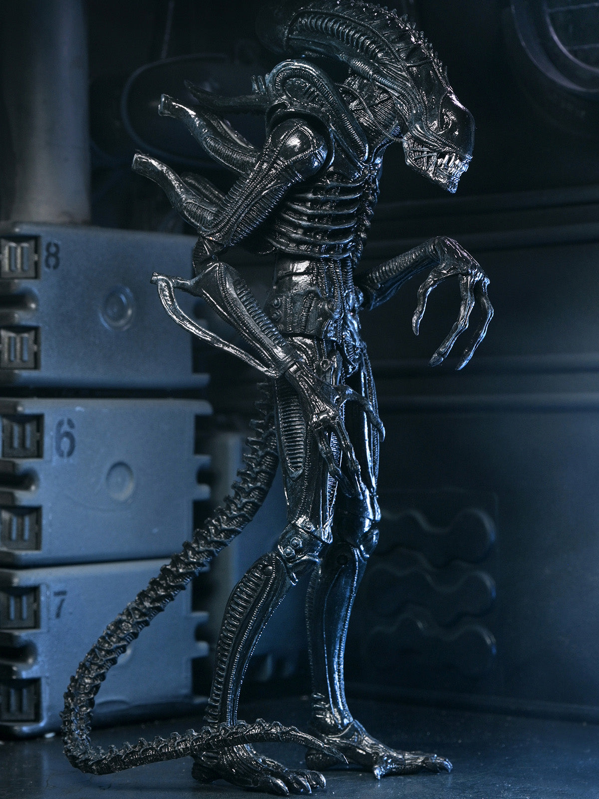 ALIENS ULTIMATE WARRIOR XENOMORPH (BLACK) 40TH ANNIVERSARY - 7" SCALE ACTION FIGURE - Side