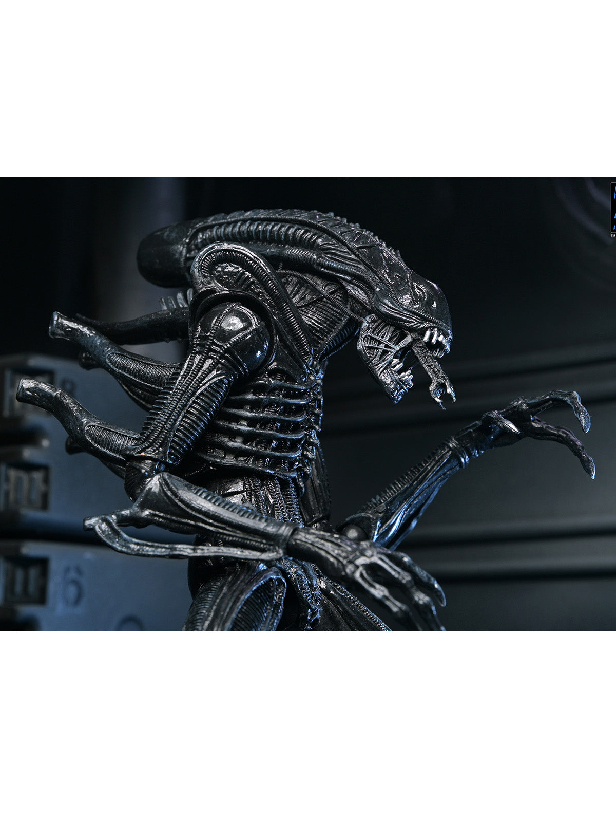 ALIENS ULTIMATE WARRIOR XENOMORPH (BLACK) 40TH ANNIVERSARY - 7" SCALE ACTION FIGURE