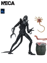 ALIENS ULTIMATE WARRIOR XENOMORPH (BLACK) 40TH ANNIVERSARY - 7" SCALE ACTION FIGURE - Front